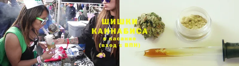 Канабис LSD WEED  blacksprut рабочий сайт  Алейск 